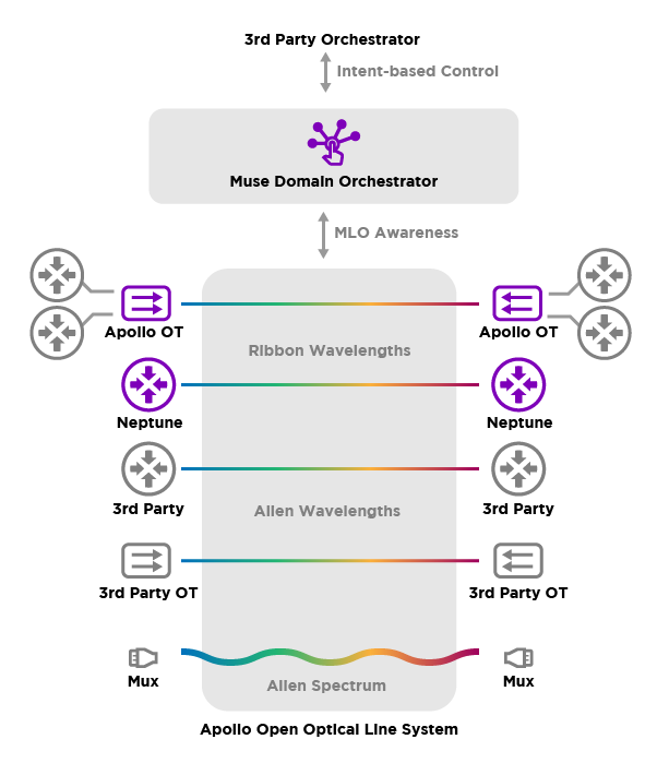 Are You Ready to Go (Cloud) Native?