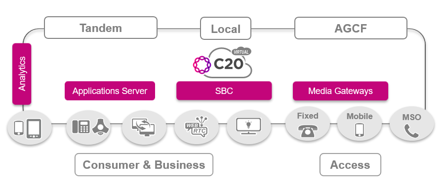 c20-virtual-diagram